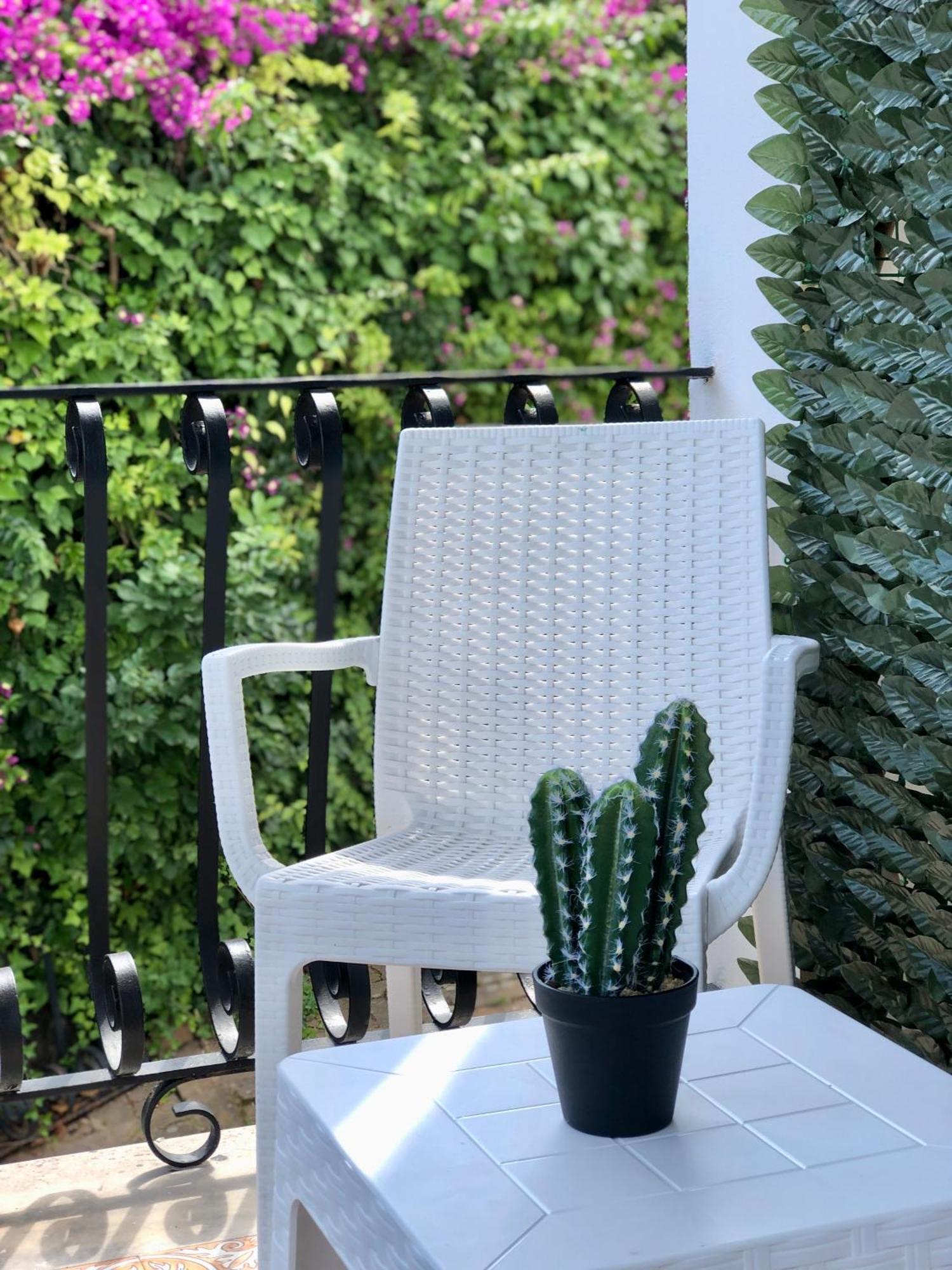 Villa Rosa Rooms Искья Экстерьер фото